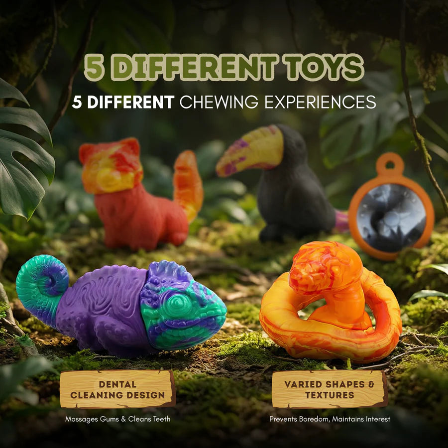 Happy Staffy - PowerFlex™ Jungle Trek Collection