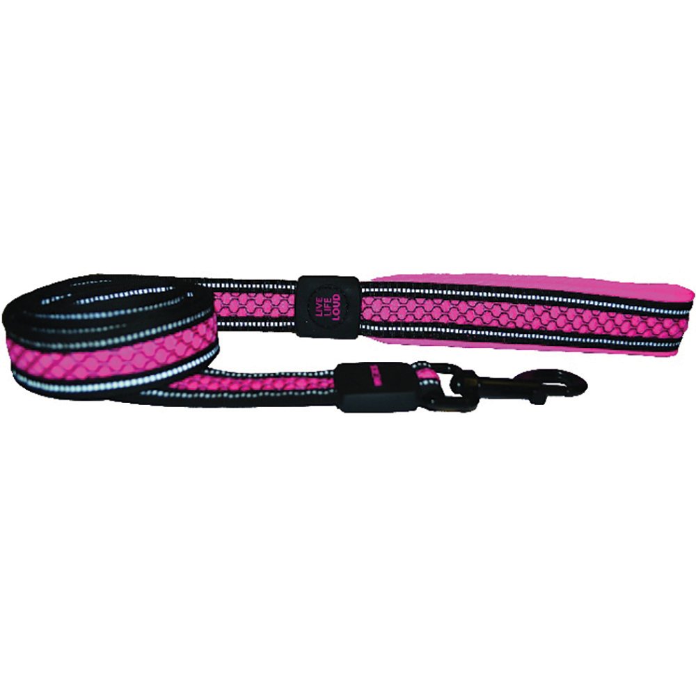 Scream Reflective Padded Leash 2.5cm x 120cm