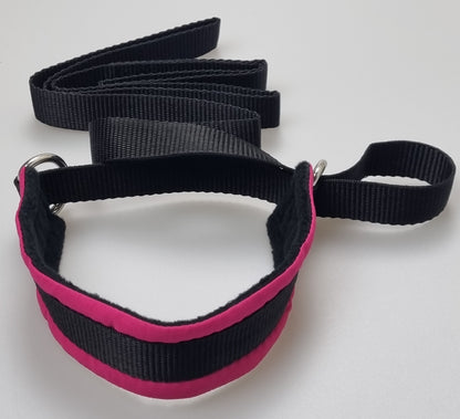 Alpha Dog Quick Release Collars/Leads 35cm x 5cm - 150cm lead length