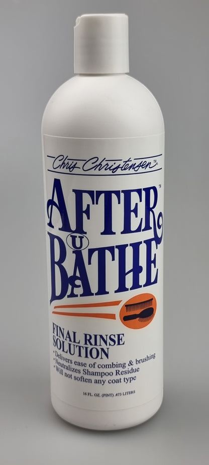 Chris Christensen  After U Bathe