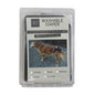 WASHABLE DIAPER Large (Waist 38-60cm)