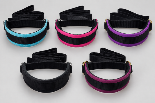 Alpha Dog Quick Release Collars/Leads 40cm x 5cm - 150cm lead length