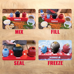Kong - Fill Or Freeze Tray (3)