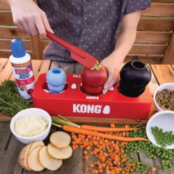Kong - Fill Or Freeze Tray (3)