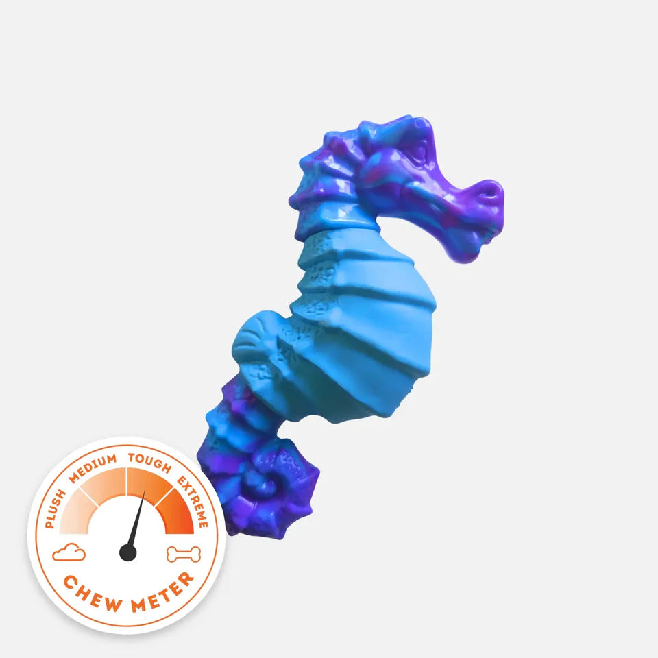 Happy Staffy - Seahorse Splash
