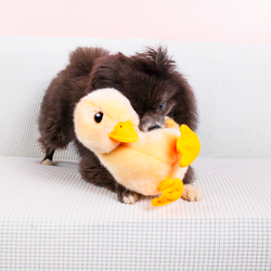 Kong Toughz Duck Md
