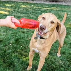 Kong - Jumbler Tug - Med/Large